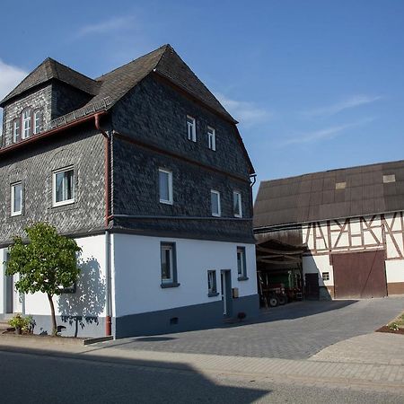 Spacious Holiday Home Between Mosel And Hunsr Ck Blankenrath Eksteriør billede